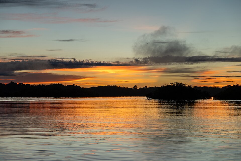 Luz do entardecer sobre a floresta amazônica