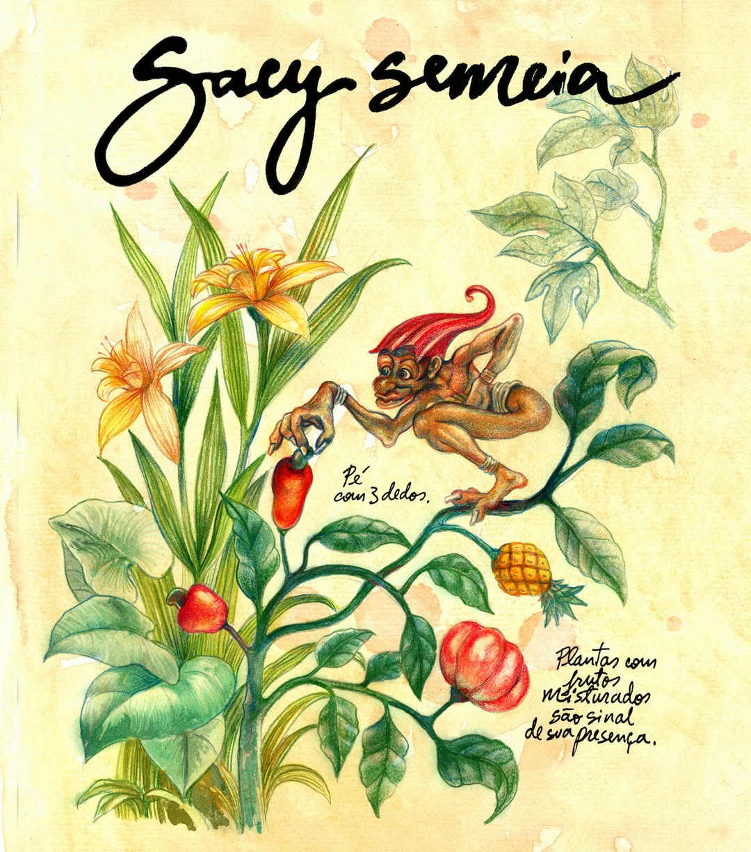 Sacy Semeia ilustrado sobre um galho com plantas e frutos de formatos diferentes; desenho assinado por Marcelo Bicalho