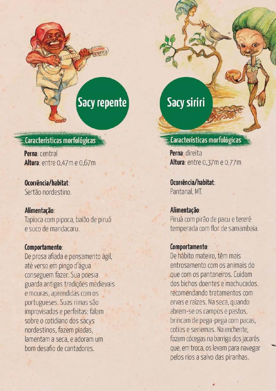 Ilustrações de Sacy Repente tocando instrumento e Sacy Siriri junto a um pássaro no Pantanal