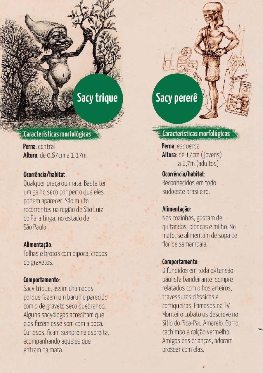 Dois desenhos diferentes do inventário: Sacy Trique junto a plantas e Sacy Pererê em pé, com seus respectivos perfis